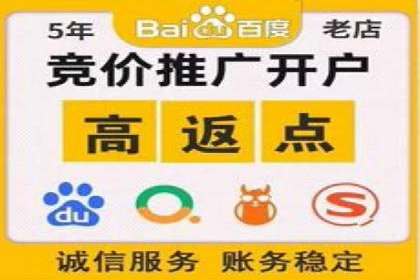 SEO技术突破：某网站流量暴增的背后故事