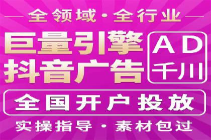 SEO与百度推广结合的营销策略——经典案例解析
